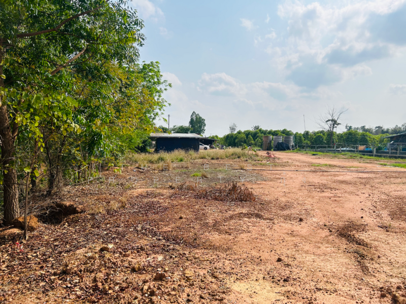ที่ดินสว่างอารมณ์ อุทัยธานี, Uthai Thani, Bo Yang, Sawang Arom, Uthai Thani, , 56,980 sqm, Land For Sale, by The Best Property กุ้ง, 500186119 - DDproperty.com