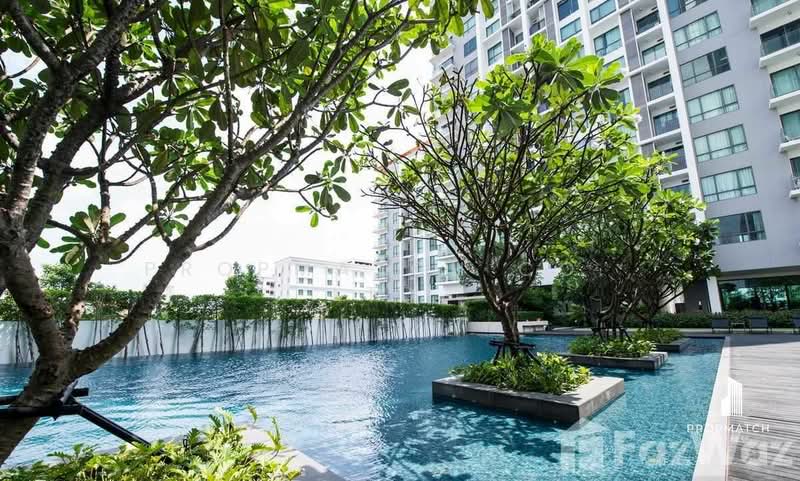 The Room Sukhumvit 62, Bangkok, 2288 Sukhumvit Road, Bang Chak, Phra Khanong, Bangkok, 1 Bedroom, 45 sqm, Condo For Rent, by PROPMATCH CO., LTD., 500186136 - DDproperty.com