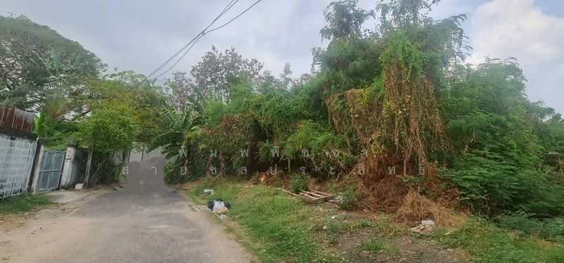 ประเสริฐมนูกิจ, กรุงเทพ, คลองจั่น, บางกะปิ, กรุงเทพ, 536 ตร.ม., ที่ดิน ขาย, โดย พิมพ์พิชชา สายชลประสิทธิ์, 500186223 - DDproperty.com