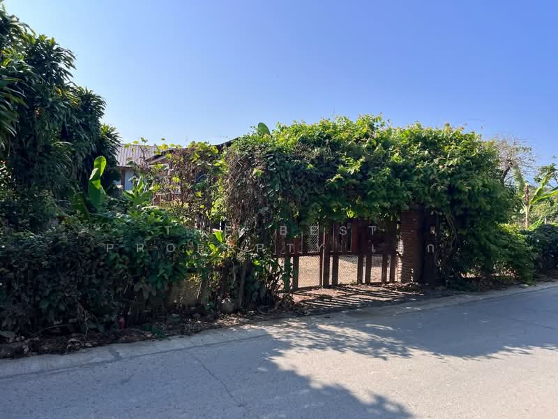 ที่ดินพร้อมสิ่งปลูกสร้างสันทราย เชียงใหม่, Chiang Mai, Mae Phaek Mai, San Sai, Chiang Mai, , 372 sqm, Land For Sale, by The Best Property เล็ก, 500186251 - DDproperty.com