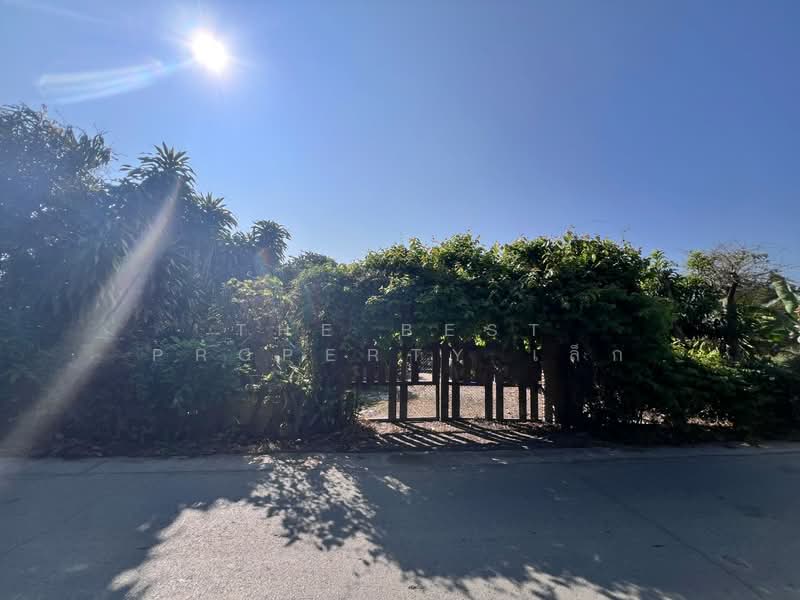 ที่ดินพร้อมสิ่งปลูกสร้างสันทราย เชียงใหม่, เชียงใหม่, แม่แฝกใหม่, สันทราย, เชียงใหม่, 372 ตร.ม., ที่ดิน ขาย, โดย The Best Property เล็ก, 500186251 - DDproperty.com