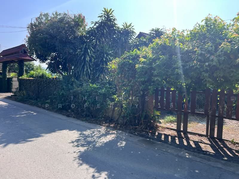 ที่ดินพร้อมสิ่งปลูกสร้างสันทราย เชียงใหม่, Chiang Mai, Mae Phaek Mai, San Sai, Chiang Mai, , 372 sqm, Land For Sale, by The Best Property เล็ก, 500186251 - DDproperty.com