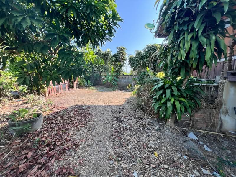 ที่ดินพร้อมสิ่งปลูกสร้างสันทราย เชียงใหม่, เชียงใหม่, แม่แฝกใหม่, สันทราย, เชียงใหม่, 372 ตร.ม., ที่ดิน ขาย, โดย The Best Property เล็ก, 500186251 - DDproperty.com