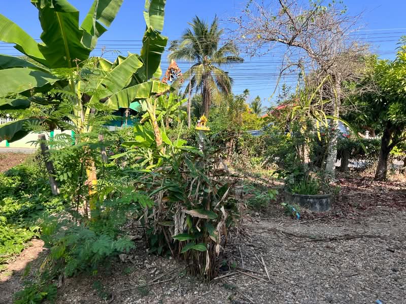 ที่ดินพร้อมสิ่งปลูกสร้างสันทราย เชียงใหม่, Chiang Mai, Mae Phaek Mai, San Sai, Chiang Mai, , 372 sqm, Land For Sale, by The Best Property เล็ก, 500186251 - DDproperty.com