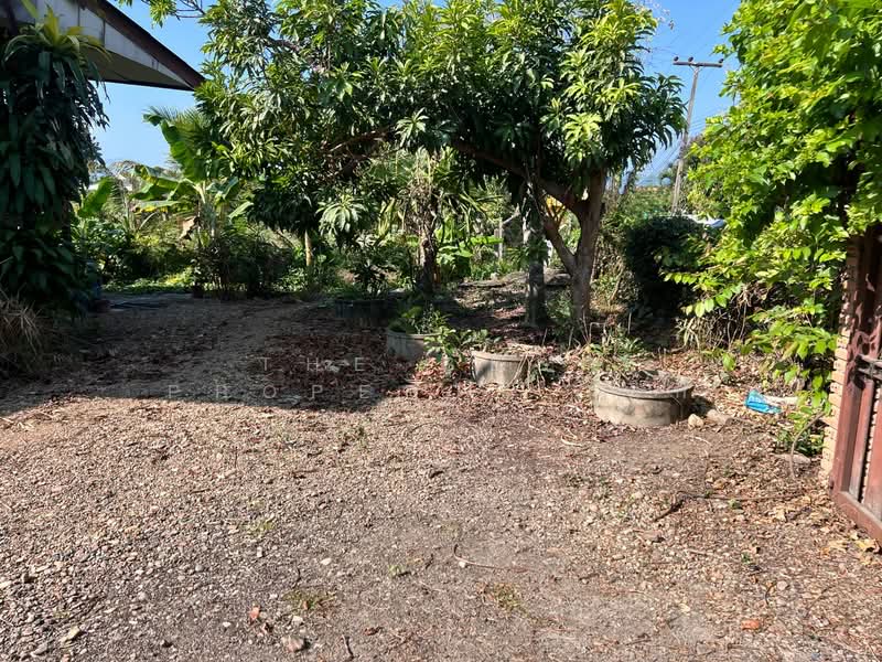 ที่ดินพร้อมสิ่งปลูกสร้างสันทราย เชียงใหม่, Chiang Mai, Mae Phaek Mai, San Sai, Chiang Mai, , 372 sqm, Land For Sale, by The Best Property เล็ก, 500186251 - DDproperty.com