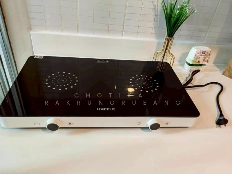 IDEO Morph 38, Bangkok, 88 Sukhumvit Road, Phra Kanong, Khlong Toei, Bangkok, 1 Bedroom, 36 sqm, Condo For Rent, by Chotika   Rakrungrueang, 500186274 - DDproperty.com