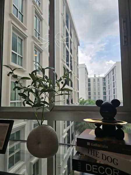 Plum Condo Chaengwattana Station, Bangkok, Chaeng Watthana Rd, Talat Bang Khen, Lak Si, Bangkok, 1 Bedroom, 46 sqm, Condo For Sale, by Pavadee Boonyarith, 500186313 - DDproperty.com