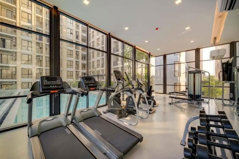 Kensington พหลโยธิน 63, กรุงเทพ, ซอยพหลโยธิน 63 ถนนพหลโยธิน, อนุสาวรีย์, บางเขน, กรุงเทพ, 29 ตร.ม., คอนโด ให้เช่า, โดย Tanaporn Phumvilairak, 500186413 - DDproperty.com