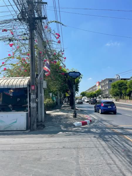 บ้านเดี่ยวประเวศ กรุงเทพมหานคร, กรุงเทพ, หนองบอน, ประเวศ, กรุงเทพ, 120 ตร.ม., บ้านเดี่ยว ขาย, โดย The Best Property โอ๋, 500186538 - DDproperty.com