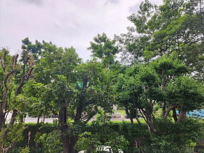 IDEO Morph 38, Bangkok, 88 Sukhumvit Road, Phra Kanong, Khlong Toei, Bangkok, 1 Bedroom, 40 sqm, Condo For Rent, by Phoom Imruangsri, 500186548 - DDproperty.com