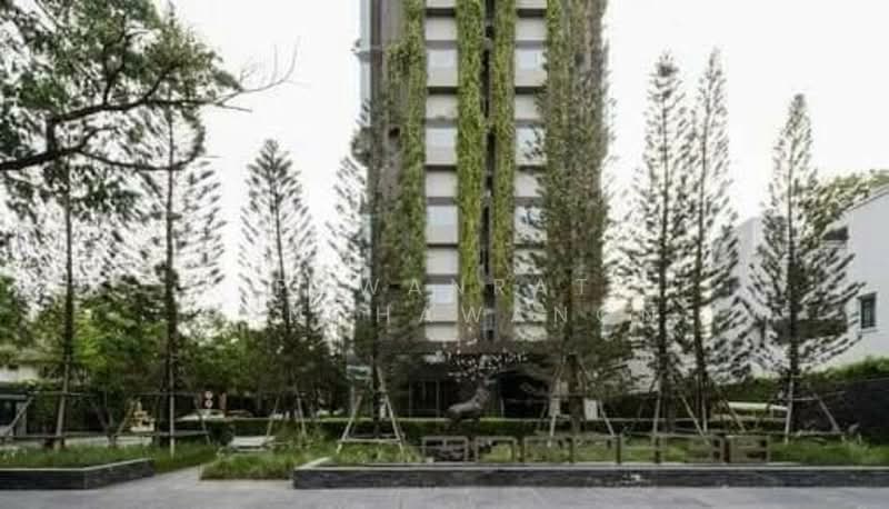 IDEO Morph 38 : ไอดีโอ มอร์ฟ 38, กรุงเทพ, 88 ซอยสุขุมวิท 38 ถนนสุขุมวิท แขวงพระโขนง เขตคลองเตย กรุงเทพมหานคร, พระโขนง, คลองเตย, กรุงเทพ, 36 ตร.ม., คอนโด ให้เช่า, โดย Pawanrat Panchawanon, 500186599 - DDproperty.com