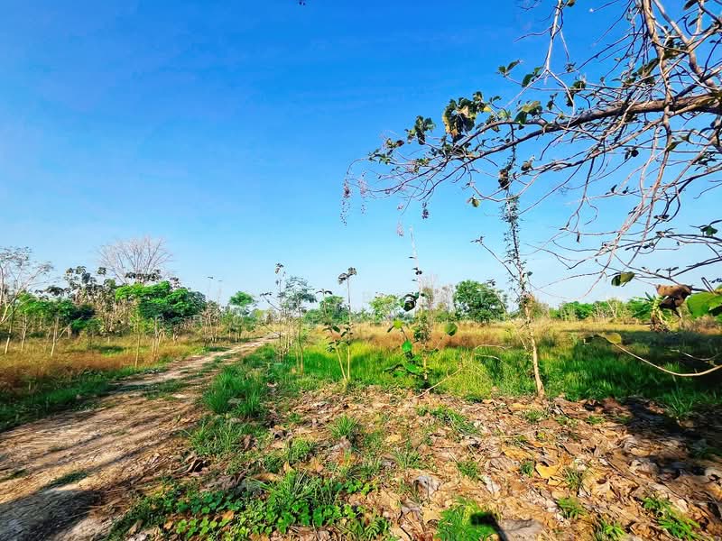 ขาย - บ้านเดี่ยวพร้อมที่ดินหนองฉาง อุทัยธานี, อุทัยธานี