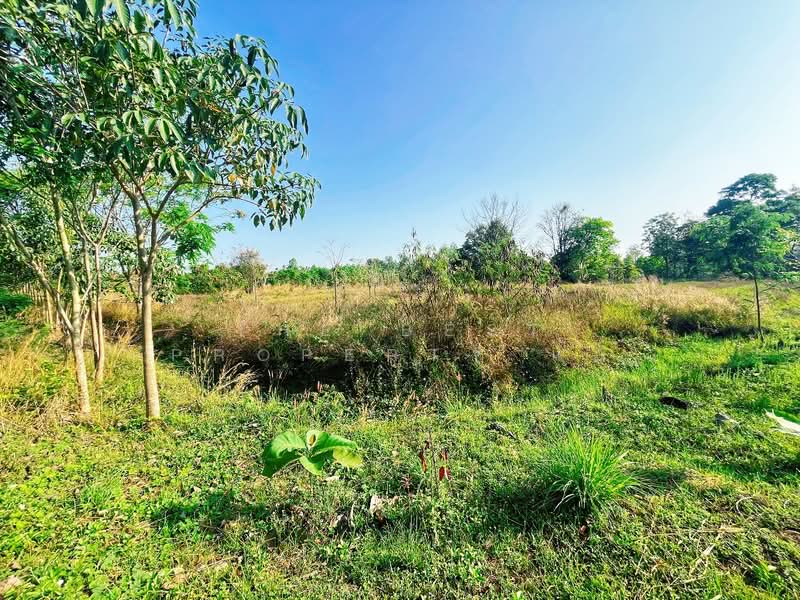 ขาย - บ้านเดี่ยวพร้อมที่ดินหนองฉาง อุทัยธานี, อุทัยธานี