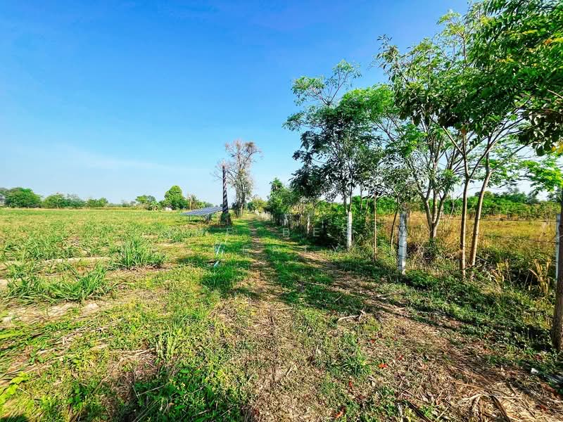 บ้านเดี่ยวพร้อมที่ดินหนองฉาง อุทัยธานี, Uthai Thani, Thung Po, Nong Chang, Uthai Thani, 2 Bedrooms, 100 sqm, Single Detached House For Sale, by The Best Property แอ้, 500186638 - DDproperty.com