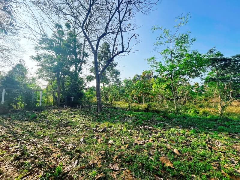 บ้านเดี่ยวพร้อมที่ดินหนองฉาง อุทัยธานี, Uthai Thani, Thung Po, Nong Chang, Uthai Thani, 2 Bedrooms, 100 sqm, Single Detached House For Sale, by The Best Property แอ้, 500186638 - DDproperty.com