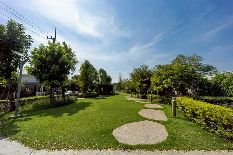 บารานี เรสซิเดนซ์ รังสิต คลอง 3 : Baranee Residence Rangsit-Khlong 3, ปทุมธานี, คลองสาม, คลองหลวง, ปทุมธานี, 220 ตร.ม., บ้านเดี่ยว ให้เช่า, โดย ณภัทร พรสิริเมธากุล, 500186640 - DDproperty.com