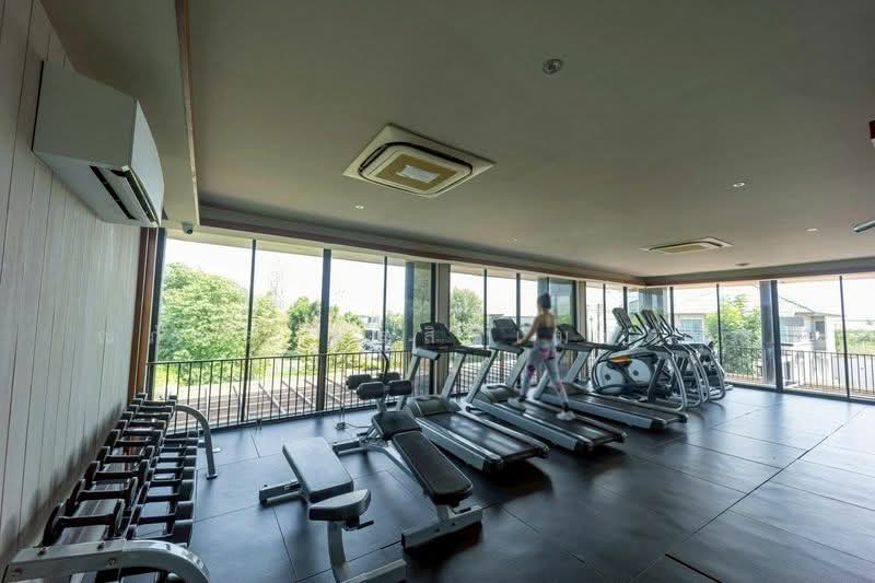 บารานี เรสซิเดนซ์ รังสิต คลอง 3 : Baranee Residence Rangsit-Khlong 3, ปทุมธานี, คลองสาม, คลองหลวง, ปทุมธานี, 220 ตร.ม., บ้านเดี่ยว ให้เช่า, โดย ณภัทร พรสิริเมธากุล, 500186640 - DDproperty.com