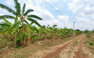 ขาย - ขายที่ดินเปล่า 1 ไร่ 182.5 ตร.ว. อ.พนัสนิคม จ.ชลบุรี ทำเลดี ใกล้ 7-Eleven เพียง 200 ม., ชลบุรี