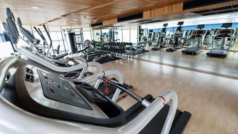 Liv @ 49 : ลิฟ แอท 49, กรุงเทพ, 9 ซอยสุขุมวิท 49, คลองตันเหนือ, วัฒนา, กรุงเทพ, 95 ตร.ม., คอนโด ให้เช่า, โดย Samerjai Lertnapakriengkai, 500186660 - DDproperty.com