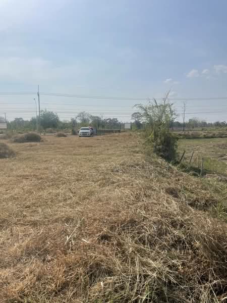 ขาย - ขายที่ดินเปล่า ทำเลทอง ใกล้ตัวอำเภอไพรบึง เพียงไม่ถึง 1 กม. อ.ไพรบึง จ.ศรีสะเกษ, ศรีสะเกษ