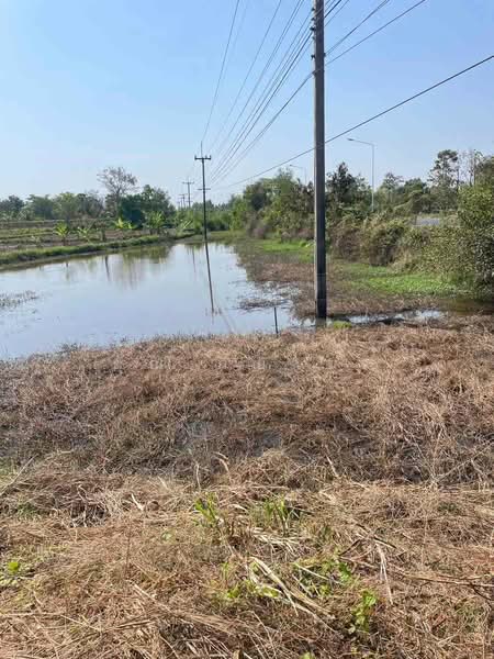 ขาย - ขายที่ดินเปล่า ทำเลทอง ใกล้ตัวอำเภอไพรบึง เพียงไม่ถึง 1 กม. อ.ไพรบึง จ.ศรีสะเกษ, ศรีสะเกษ