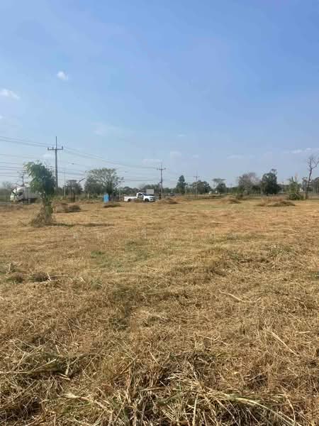 ขาย - ขายที่ดินเปล่า ทำเลทอง ใกล้ตัวอำเภอไพรบึง เพียงไม่ถึง 1 กม. อ.ไพรบึง จ.ศรีสะเกษ, ศรีสะเกษ