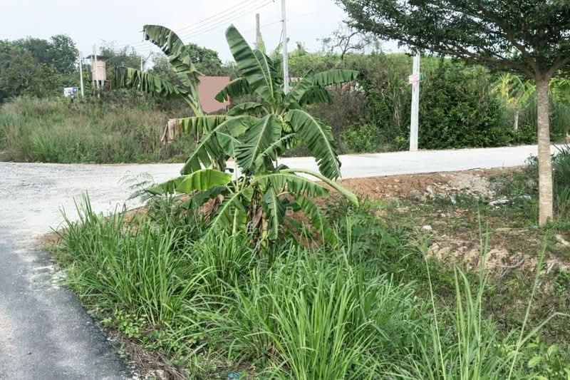 ที่ดินนิคมพัฒนา ระยอง, Rayong, Phananikhom, Nikhom Pattana, Rayong, , 4,772 sqm, Land For Sale, by The Best Property นก, 500186810 - DDproperty.com