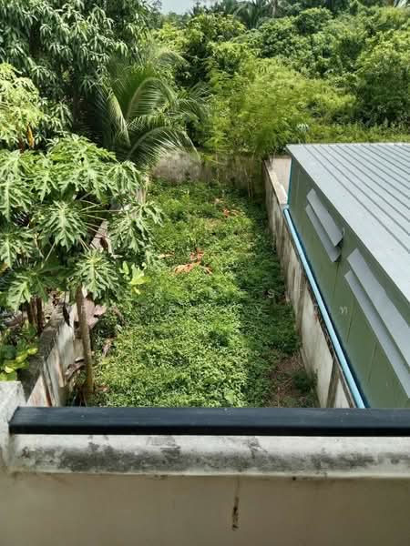 อาคารพาณิชย์นาเคียน นครศรีธรรมราช, Nakhon Si Thammarat, Na Khian, Muang Nakhon Sri Thammarat, Nakhon Si Thammarat, , 150 sqm, Shophouse For Sale, by The Best Property นัท, 500186859 - DDproperty.com