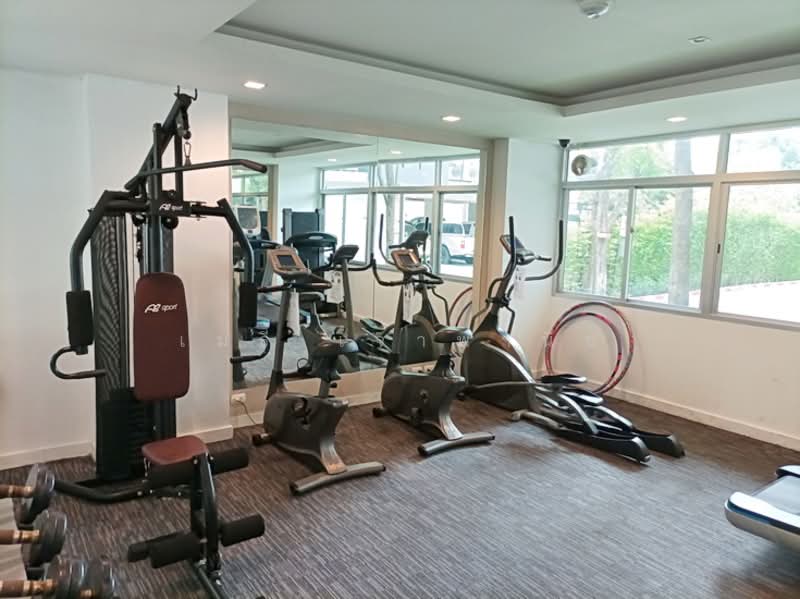 My Condo Sukhumvit 81, Bangkok, Soi Sukhumvit 81 Sukhumvit Road, Bang Chak, Phra Khanong, Bangkok, 1 Bedroom, 35 sqm, Condo For Rent, by Methee Chaopanich, 500186926 - DDproperty.com