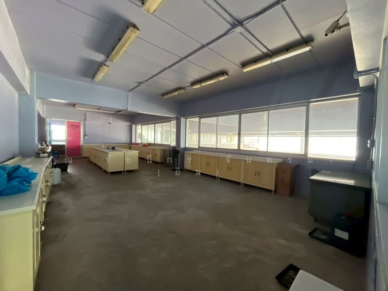 สำนักงาน 3.5 ชั้น 324 ตร.ว. สำนักงาน ซอยเทพกุญชร3 ใกล้ตลาดไท ตลาดไอยรา, ปทุมธานี, คลองหนึ่ง, คลองหลวง, ปทุมธานี, 1,677 ตร.ม., สำนักงาน ขาย, โดย คุณ รัชนีกร จันทร์มา (อิม), 500187087 - DDproperty.com