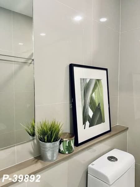 The Tree Sukhumvit 71-Ekamai : เดอะทรี สุขุมวิท 71 – เอกมัย, กรุงเทพ, 1269 ถ. สุขุมวิท 71, สวนหลวง, สวนหลวง, กรุงเทพ, 25 ตร.ม., คอนโด ให้เช่า, โดย Susira Preuksawun, 500187150 - DDproperty.com