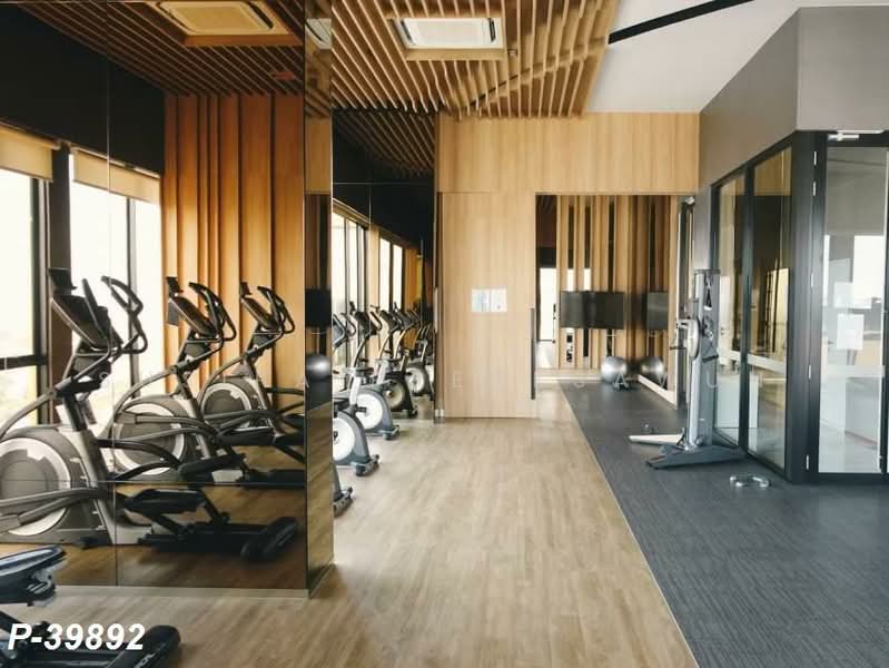 The Tree Sukhumvit 71-Ekamai, Bangkok, 1269 Sukhumvit 71 Road, Suan Luang, Suan Luang, Bangkok, 1 Bedroom, 25 sqm, Condo For Rent, by Susira Preuksawun, 500187150 - DDproperty.com