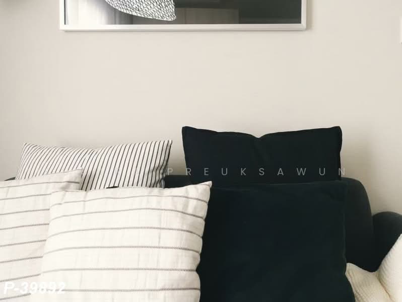 The Tree Sukhumvit 71-Ekamai : เดอะทรี สุขุมวิท 71 – เอกมัย, กรุงเทพ, 1269 ถ. สุขุมวิท 71, สวนหลวง, สวนหลวง, กรุงเทพ, 25 ตร.ม., คอนโด ให้เช่า, โดย Susira Preuksawun, 500187150 - DDproperty.com