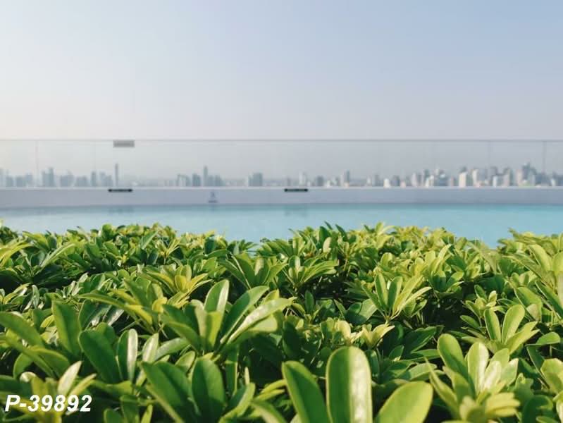 The Tree Sukhumvit 71-Ekamai, Bangkok, 1269 Sukhumvit 71 Road, Suan Luang, Suan Luang, Bangkok, 1 Bedroom, 25 sqm, Condo For Rent, by Susira Preuksawun, 500187150 - DDproperty.com