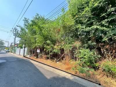 ขาย - ที่ดินเปล่า 89 ตร.ว. ที่ดิน ซอยประชาอุทิศ33 แยก19, กรุงเทพ