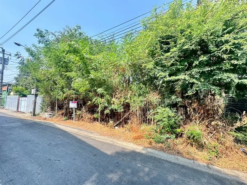 ที่ดินเปล่า 89 ตร.ว. ที่ดิน ซอยประชาอุทิศ33 แยก19, กรุงเทพ, บางมด, ทุ่งครุ, กรุงเทพ, 356 ตร.ม., ที่ดิน ขาย, โดย คุณ ฐิชาปัณณ์ สังวาลรัมย์ (ปูน), 500187186 - DDproperty.com