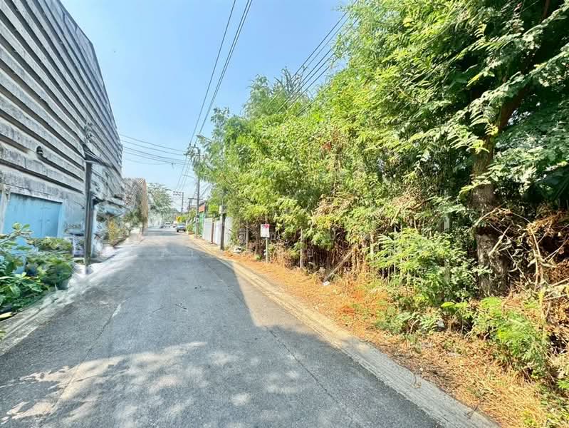 ที่ดินเปล่า 89 ตร.ว. ที่ดิน ซอยประชาอุทิศ33 แยก19, Bangkok, Bangmot, Thung Khru, Bangkok, , 356 sqm, Land For Sale, by คุณ ฐิชาปัณณ์ สังวาลรัมย์ (ปูน), 500187186 - DDproperty.com