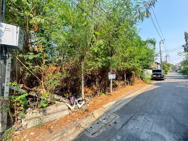 ที่ดินเปล่า 89 ตร.ว. ที่ดิน ซอยประชาอุทิศ33 แยก19, Bangkok, Bangmot, Thung Khru, Bangkok, , 356 sqm, Land For Sale, by คุณ ฐิชาปัณณ์ สังวาลรัมย์ (ปูน), 500187186 - DDproperty.com