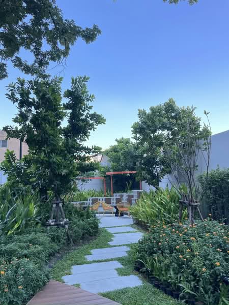 NIA by Sansiri : เนีย บาย แสนสิริ, กรุงเทพ, 199 ซอยปรีดี พนมยงค์ 2 ถนนสุขุมวิท 71, พระโขนงเหนือ, วัฒนา, กรุงเทพ, 29 ตร.ม., คอนโด ให้เช่า, โดย กำพนธ์ อัศวศิริวิลาศ, 500187277 - DDproperty.com