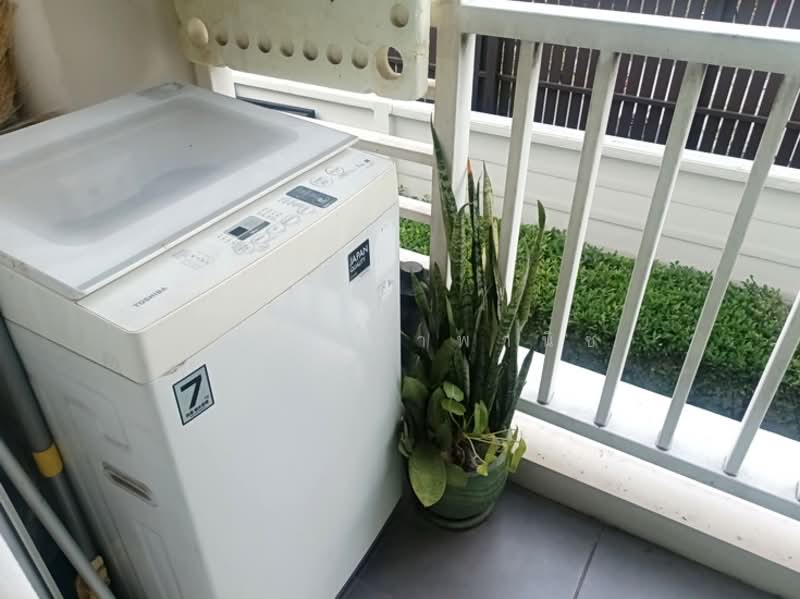 เบลส เรสสิเด้นซ์ เอกมัย (Bless Residence Ekkamai), กรุงเทพ, Sukhumvit 71, คลองตันเหนือ, วัฒนา, กรุงเทพ, 27 ตร.ม., คอนโด ให้เช่า, โดย เมธี เจ้าพานิช, 500187362 - DDproperty.com