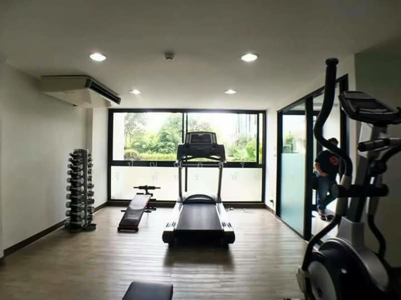 Chateau In Town Sukhumvit 62/1 : ชาโตว์ อินทาวน์ สุขุมวิท 62/1, กรุงเทพ, 7391 ซอยสุขุมวิท 62/1 ถนนสุขุมวิท, บางจาก, พระโขนง, กรุงเทพ, 33 ตร.ม., คอนโด ให้เช่า, โดย ปัณณภัสร์​ ศรี​พัชร​พัช​ร์, 500187404 - DDproperty.com