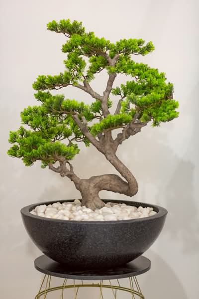 𝗦𝗬𝗠𝗠𝗘𝗧𝗥𝗬 เกษตร–นวมินทร์, Bangkok, -, Nawamin, Bueng Kum, Bangkok, 3 Bedrooms, 410 sqm, Villa For Sale, by Tharnavee Tharnasetthadakul, 500187411 - DDproperty.com