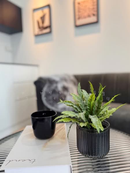 City Villa, Bangkok, Lat Phrao Road 130, Khlong Chan, Bang Kapi, Bangkok, 1 Bedroom, 31 sqm, Condo For Sale, by พงษ์ประเสริฐ ผาแดงจงเจริญ, 500187430 - DDproperty.com