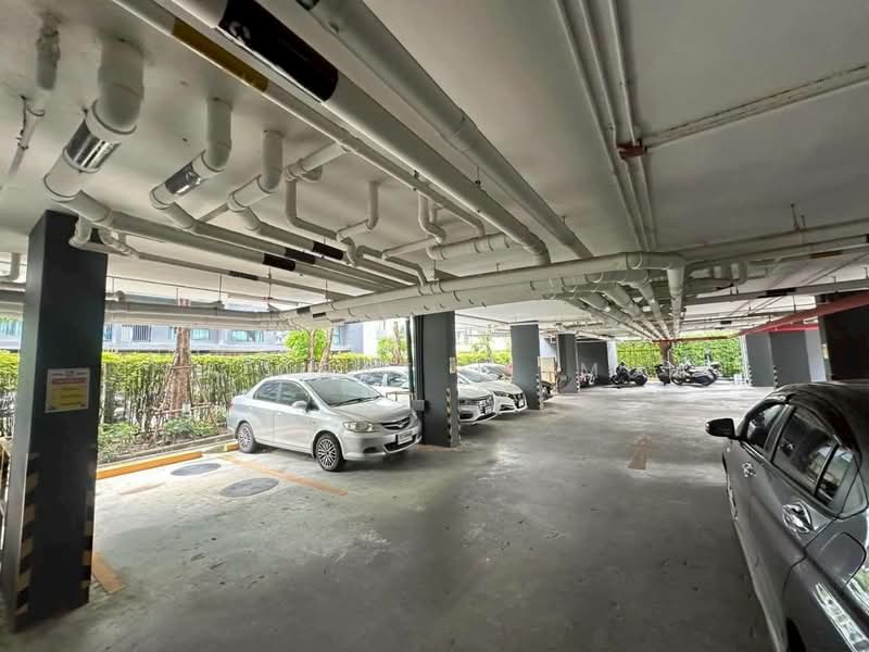 For Rent - The Excel Groove Lasalle 52, Bangkok