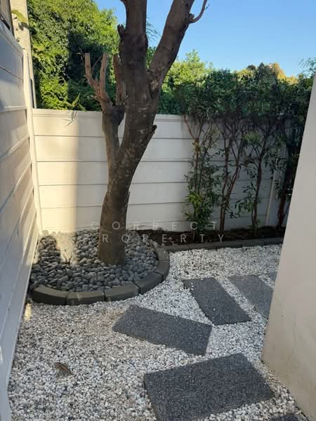 อันนา ทาวน์โฮม ติวานนท์, Nonthaburi, Pak Kret, Pak Kret, Nonthaburi, 4 Bedrooms, 30 sqm, Townhouse For Rent, by Correct Property, 500187466 - DDproperty.com