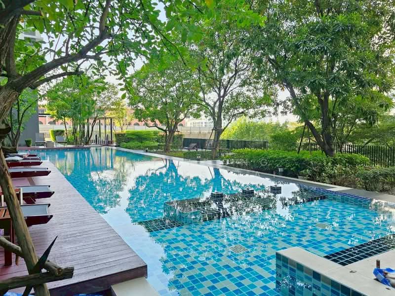 IDEO MOBI Sukhumvit 81 : ไอดีโอ โมบิ สุขุมวิท 81, กรุงเทพ, 2097 ถนนสุขุมวิท แขวงบางจาก เขตพระโขนง กรุงเทพมหานคร, บางจาก, พระโขนง, กรุงเทพ, 42 ตร.ม., คอนโด ให้เช่า, โดย Suthipong Prucksalai, 500187483 - DDproperty.com