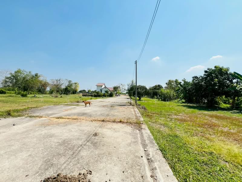 ที่ดิน พร้อมบ้านเดี่ยว 2 ชั้น ถนนรังสิต-นครนายก ตำบลบึงน้ำรักษ์ อำเภอธัญบุรี จังหวัดปทุมธานี, ปทุมธานี, รังสิต นครนายก, บึงน้ำรักษ์, ธัญบุรี, ปทุมธานี, 5,996 ตร.ม., ที่ดิน ขาย, โดย ภัทรนัน อิศรางกูร ณ อยุธยา, 500187624 - DDproperty.com