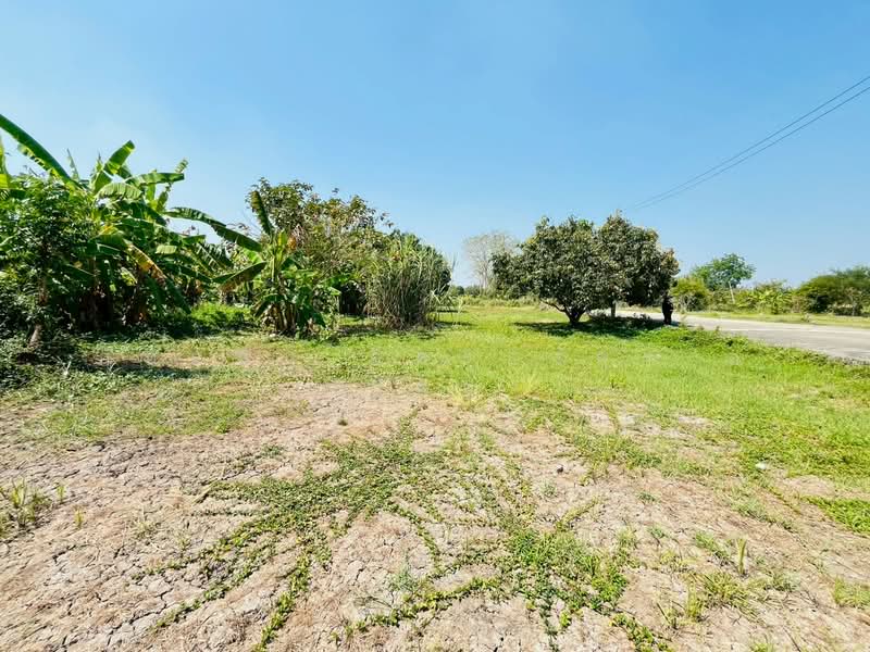 ที่ดิน พร้อมบ้านเดี่ยว 2 ชั้น ถนนรังสิต-นครนายก ตำบลบึงน้ำรักษ์ อำเภอธัญบุรี จังหวัดปทุมธานี, ปทุมธานี, รังสิต นครนายก, บึงน้ำรักษ์, ธัญบุรี, ปทุมธานี, 5,996 ตร.ม., ที่ดิน ขาย, โดย ภัทรนัน อิศรางกูร ณ อยุธยา, 500187624 - DDproperty.com