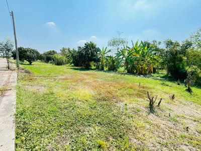 ขาย - ที่ดิน พร้อมบ้านเดี่ยว 2 ชั้น ถนนรังสิต-นครนายก ตำบลบึงน้ำรักษ์ อำเภอธัญบุรี จังหวัดปทุมธานี, ปทุมธานี