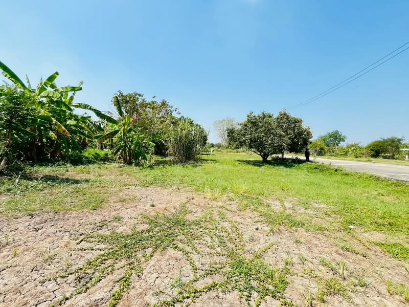 ที่ดิน พร้อมบ้านเดี่ยว 2 ชั้น ถนนรังสิต-นครนายก ตำบลบึงน้ำรักษ์ อำเภอธัญบุรี จังหวัดปทุมธานี, Pathum Thani, รังสิต นครนายก, Bung Nam Rak, Thanyaburi, Pathum Thani, , 5,996 sqm, Land For Sale, by ภัทรนัน อิศรางกูร ณ อยุธยา, 500187624 - DDproperty.com